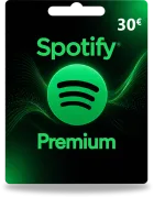 Kredyt Spotify 30 €