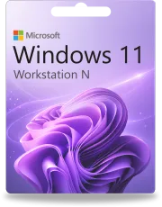 Stacja robocza z systemem Windows 11 N