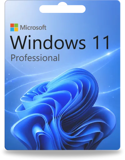Microsoft Windows 11 Professional